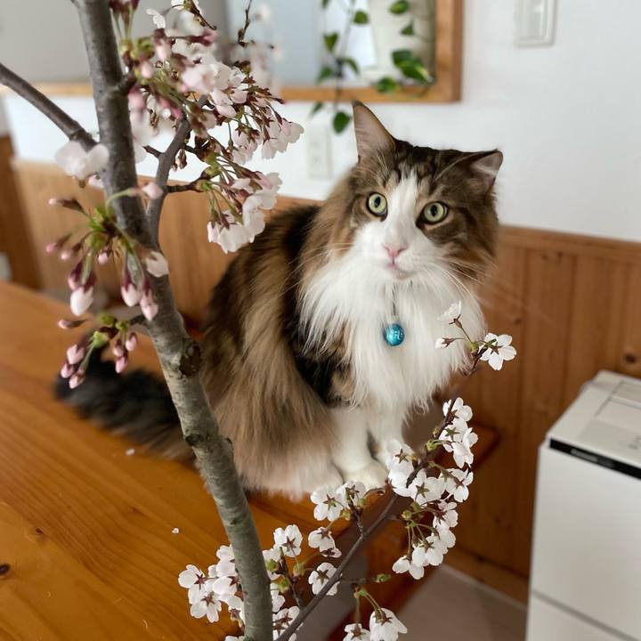 Ddcfad25 7e28 4066 9fc7 442319a29310 1713647367014