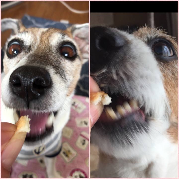 Ddcfbc55 9cf1 4525 a267 5de7cb49f8c8 1523691326471