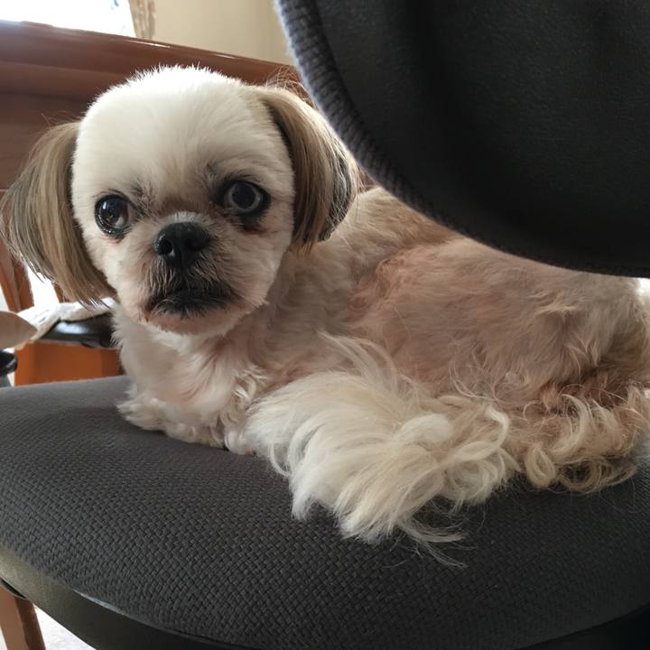 Ddcfe931 19d8 4fc6 b770 c49ae15aef7b 1634970797151