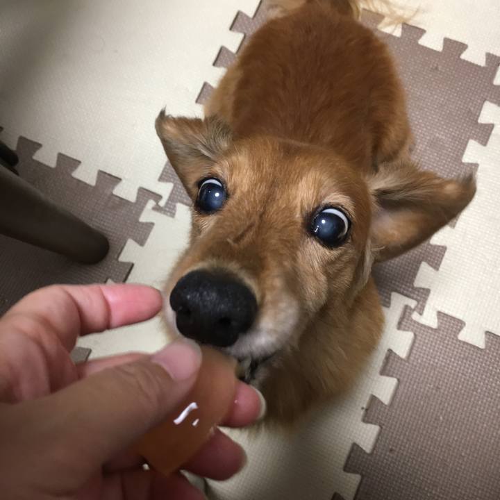 Ddd02591 4c24 42e3 996e 7b53f8569012 1596278600268