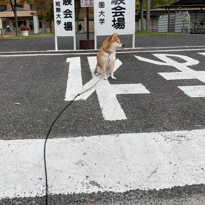 Ddd04920 2e27 406d a06f baa9d8406144 1572049055045