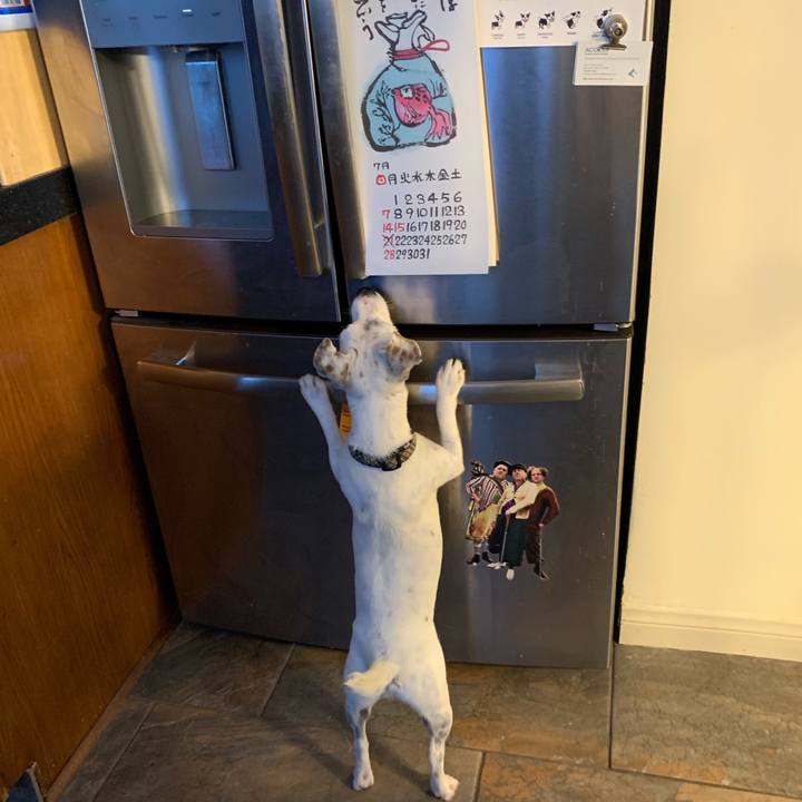 Ddd0a321 ff26 481e 8679 61e26977aa0e 1562196799519