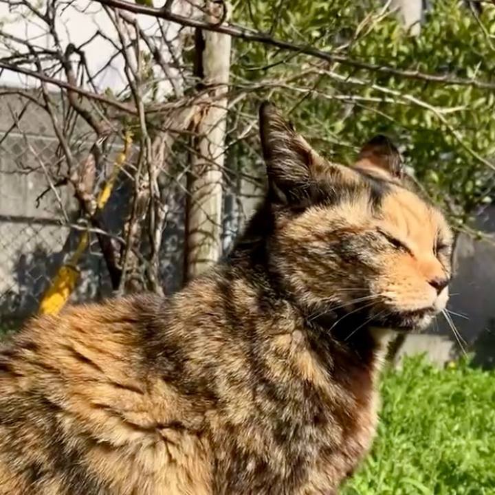 Ddd0bffc 7181 4689 b530 b8a3293390bf 1743645534410