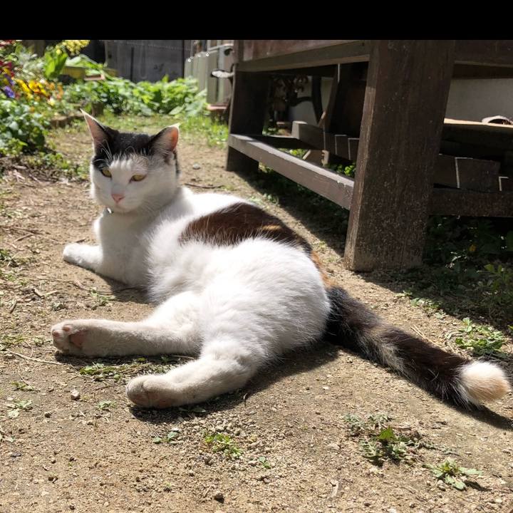 Ddd0c06e e27f 42d1 a39a b142cde1975b 1712200936725