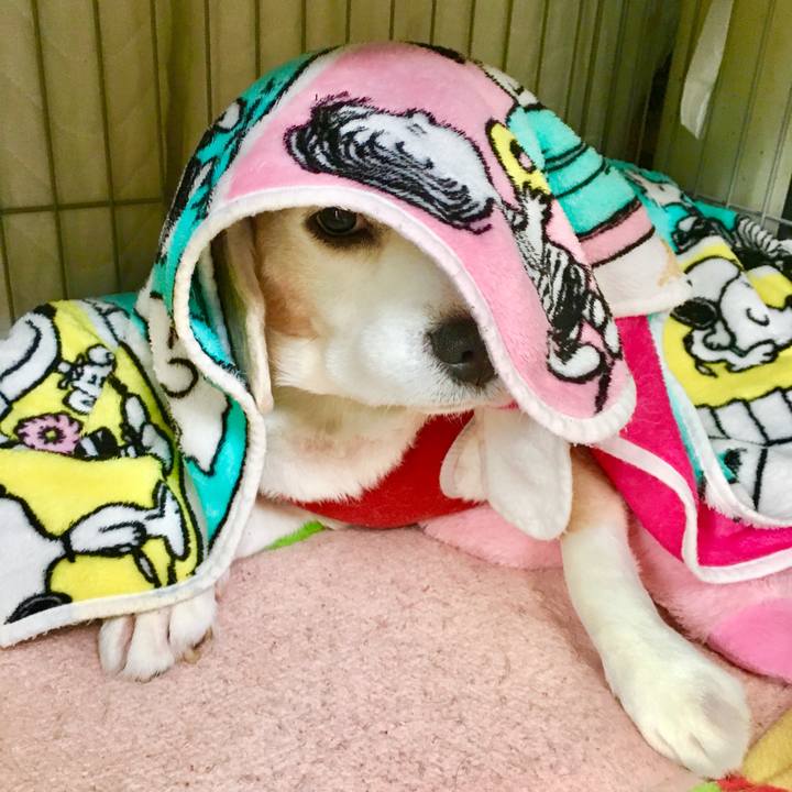 Ddd0e095 80ae 41cd bc48 6db14aea3e9d 1770263666199