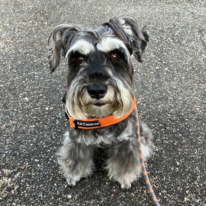 Ddd13475 45a9 4cca 93a7 c91b0c3e9ffa 1726349429180