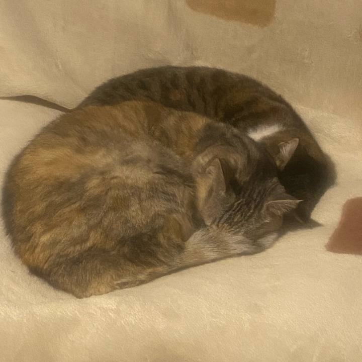 Ddd13a2e a46f 43ea a10e 38a4c8c12087 1677183863099