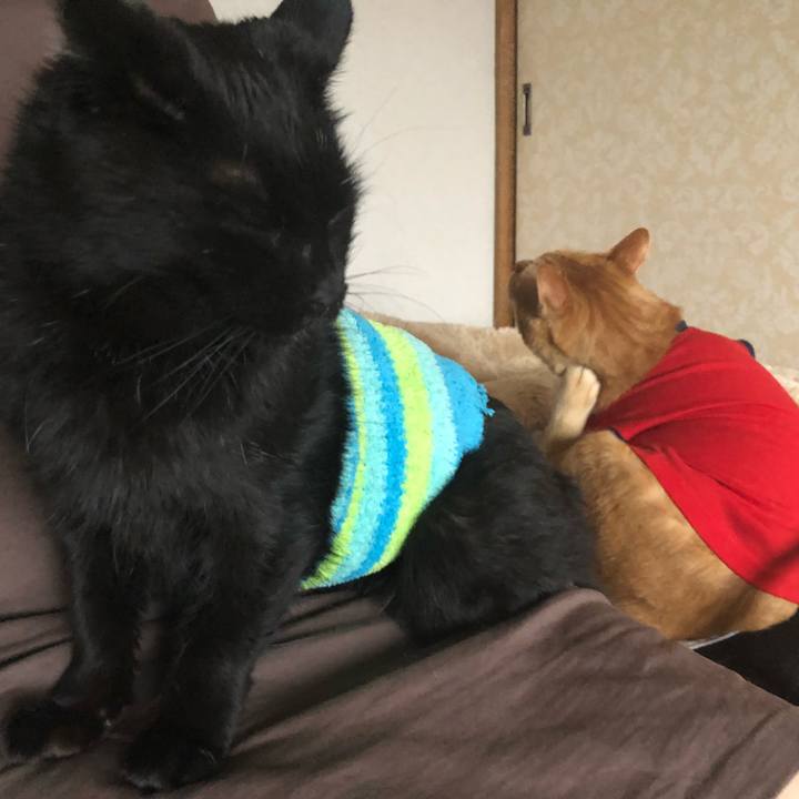 Ddd15cf3 ac41 43e7 a59f 09c61b7bbbbf 1635805613096