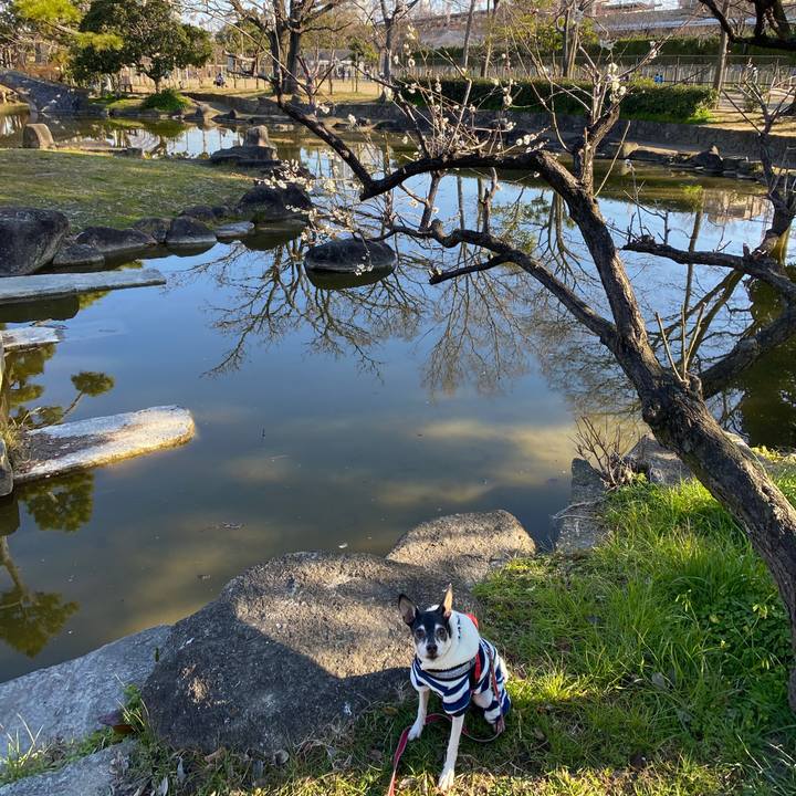 Ddd1a93d 6af5 409d 8eee 71cc9ee6ab61 1581385627366