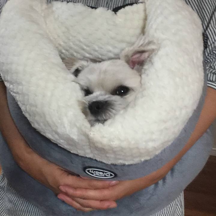 Ddd1b825 09c9 4a33 9db2 016c83dc8d6e 1507987690565