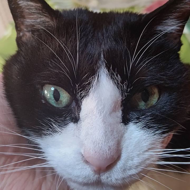 Ddd1c1dd 4018 48e4 9826 d612a74eecc5 1644385996934