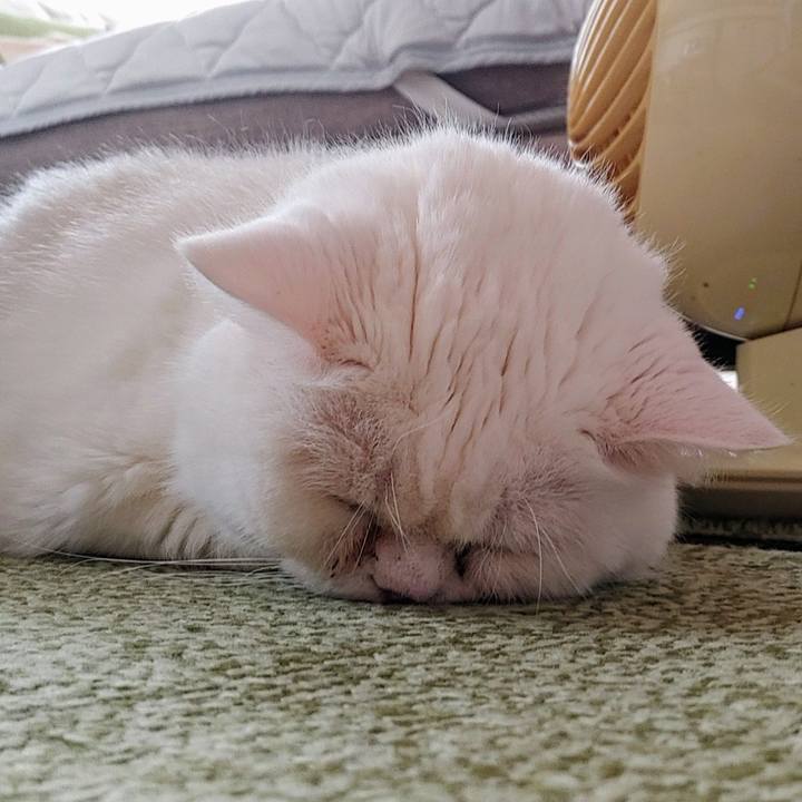 Ddd1cc6b d025 41ae 9d3d 600cfe98c5d7 1724053210829