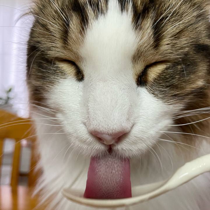 Ddd1dab8 0923 4b1f 8c93 99750db40db3 1655932222274