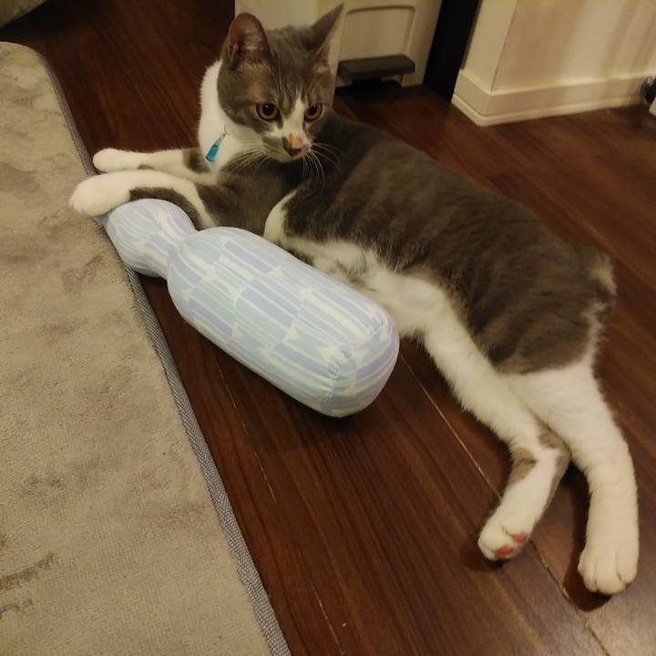 Ddd238c5 b412 4570 b404 3463c05dec39 1594558107081