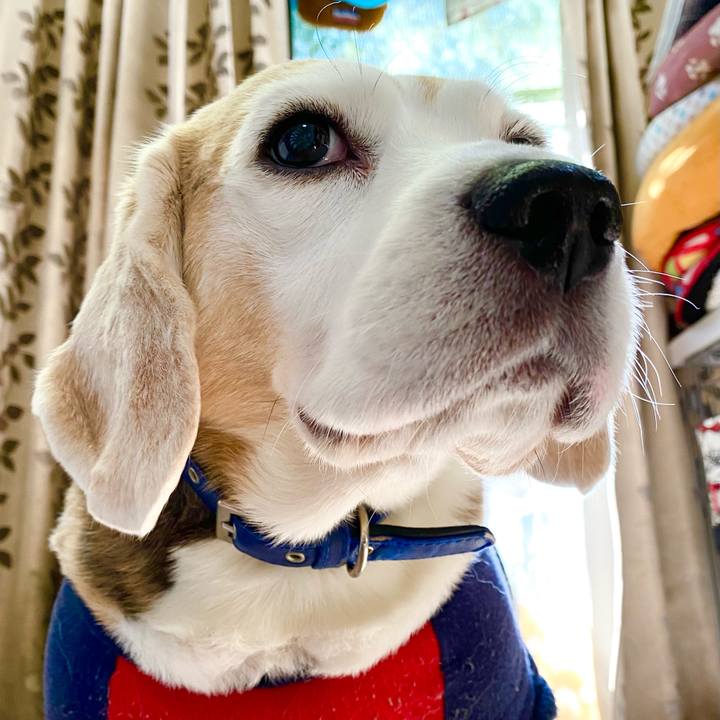 Ddd24363 c32d 4780 9803 6d711942c447 1609044250265