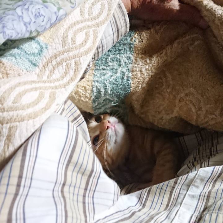 Ddd285de 9b62 47fe 9223 107ad7aefbd8 1632428083217