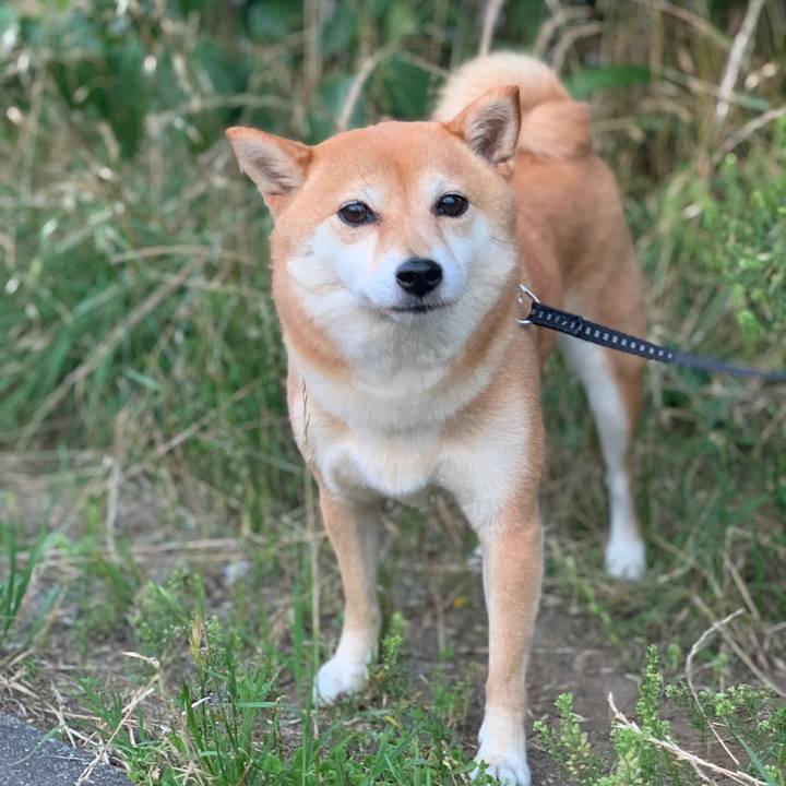 Ddd299f4 2135 467d b976 103f5da1d9ea 1560939441310