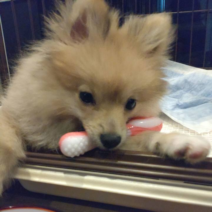 Ddd29b49 7565 4116 ae17 f6db59549248 1723505326833