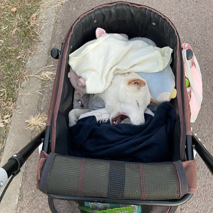 Ddd29bf7 069c 4bae b772 d7984ca2483d 1673241567951