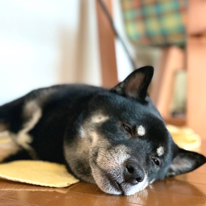 Ddd2aada 8eea 4d85 bd7a 4354c1dc2f24 1569210989771