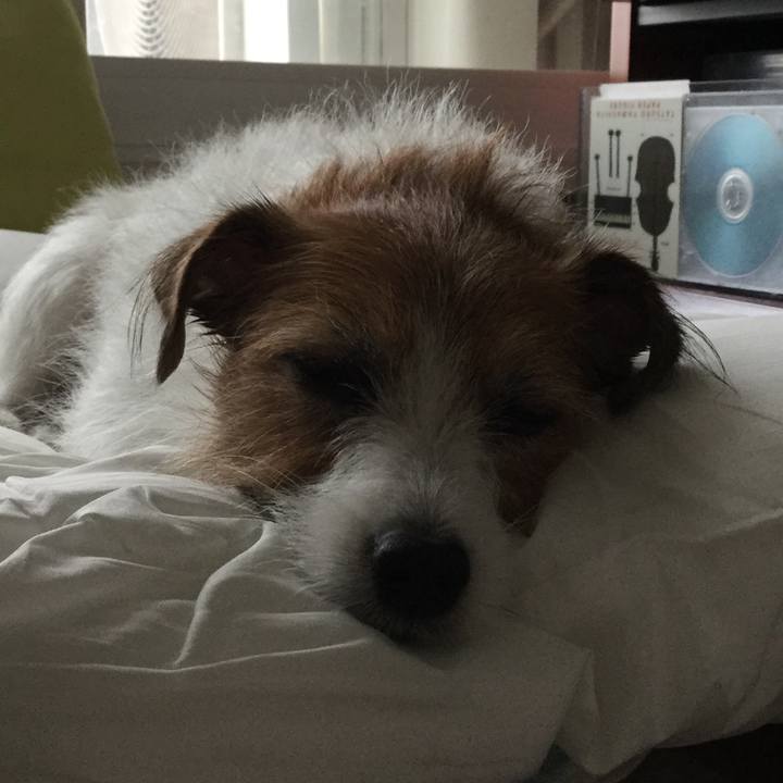 Ddd2f4a2 ef47 4f5b 9bcb 029309d1bf88 1601794308752