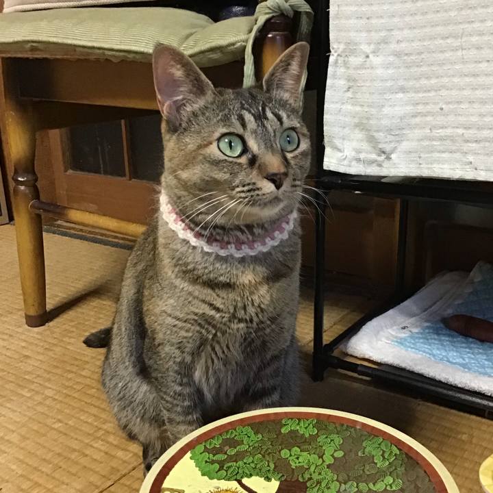 Ddd30422 0be9 4616 a974 3a5605794948 1653816994410