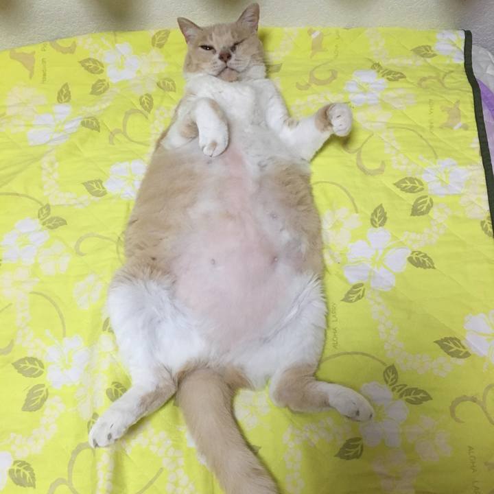 Ddd30629 3fae 4e25 927e 4c5cd2217824 1561090345140