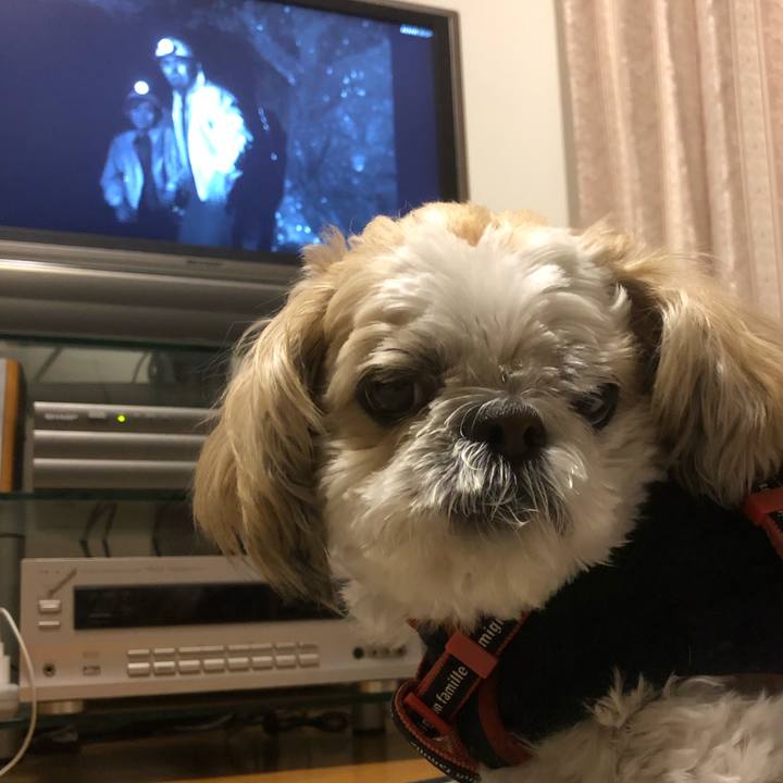 Ddd30f95 3aec 4e18 8db2 e6f2bf8161e6 1617313980538