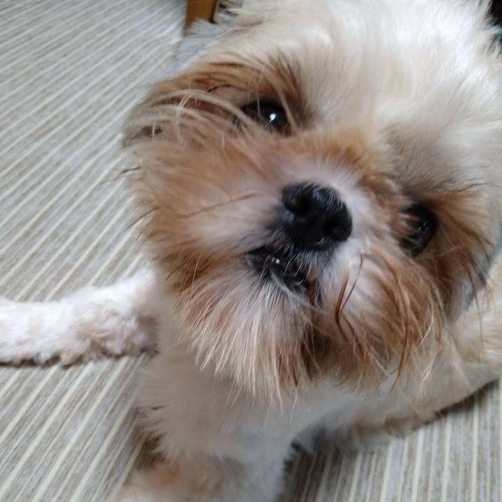 Ddd3490e 58f2 431c a139 d4cf7a5915b7 1599001798011