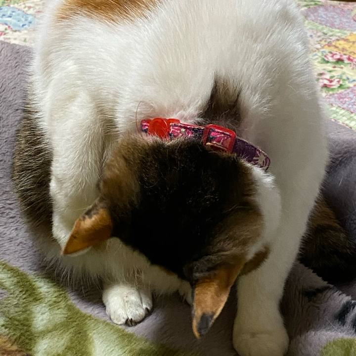 Ddd3511c c66a 4f30 9c67 bf00024ac4ef 1609383999376