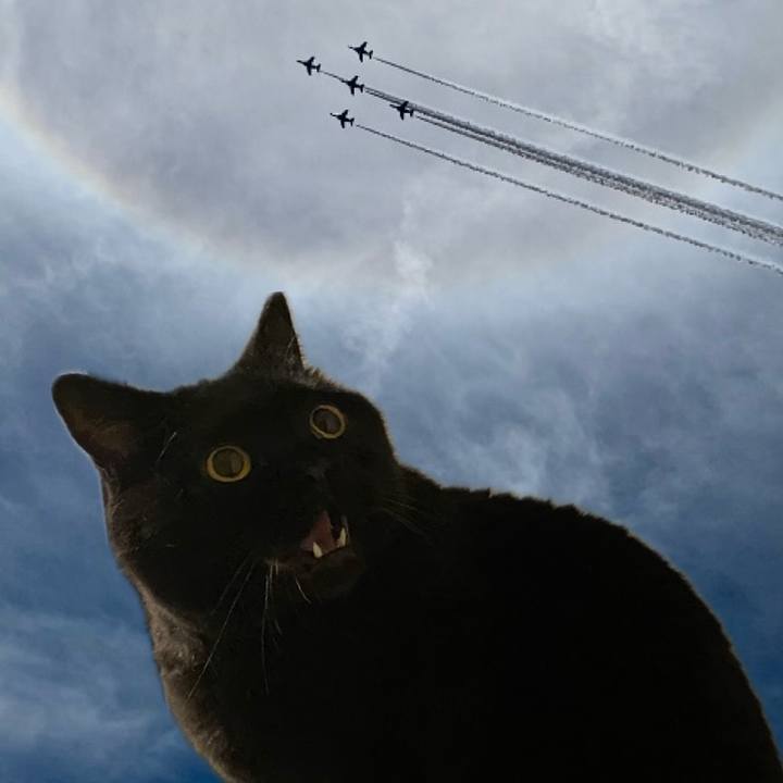 Ddd35477 543e 47dd 8812 3f8426a3ba16 1717833185894