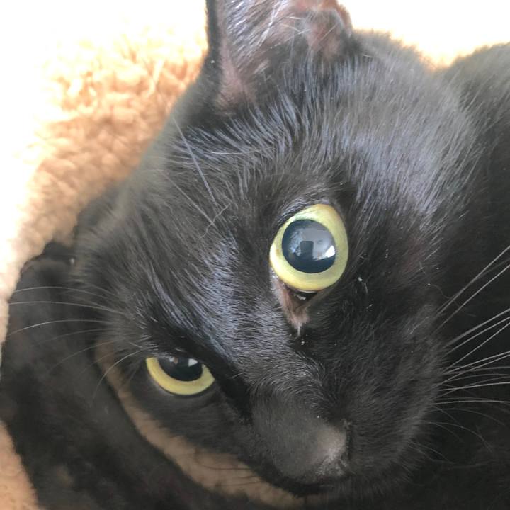 Ddd36afc ac11 4751 8774 c62da7f04bb4 1538801971099