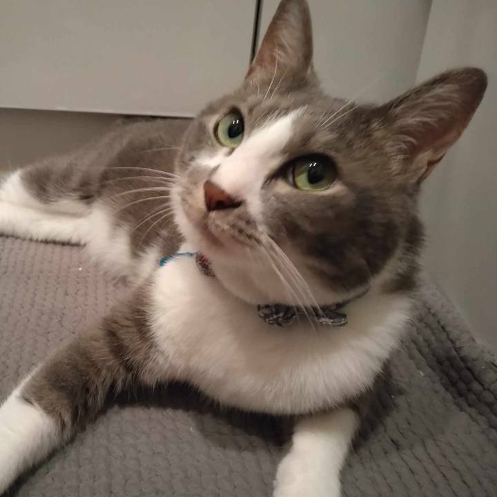 Ddd37aec dfc9 445b a999 48d7e3eec29d 1690286122267