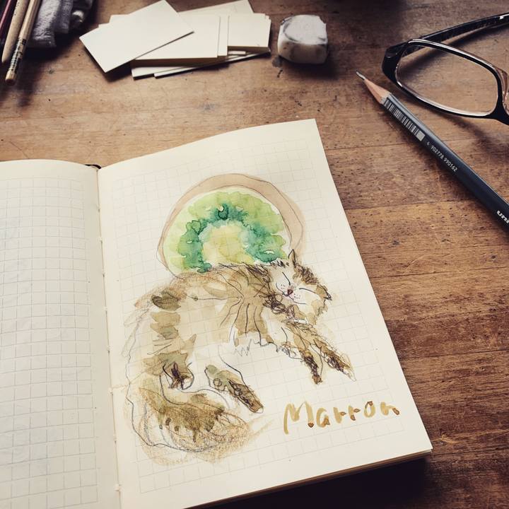 Ddd38ac5 ee3c 4384 b7d7 d7ca6c15f838 1607124092748