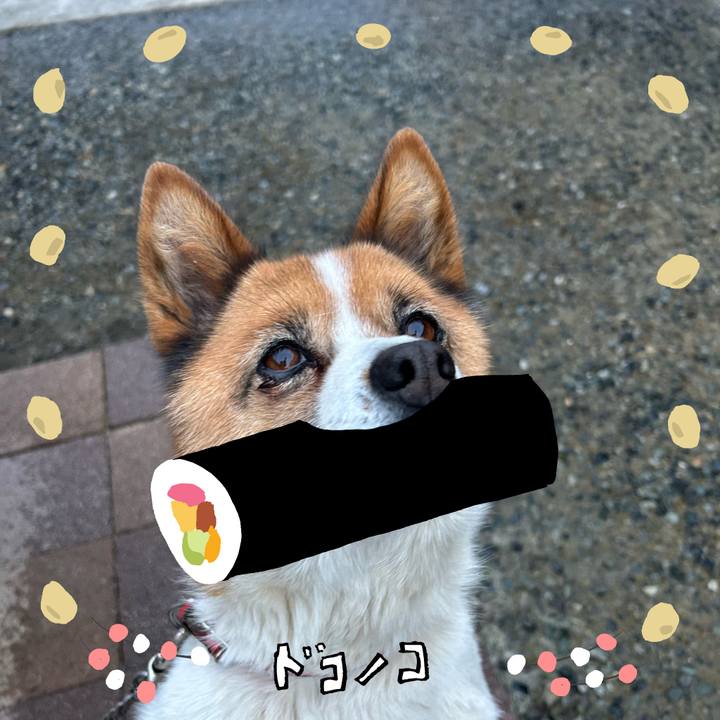 Ddd3a9d3 dfc4 4f3a a23c 734b6cf0f0df 1741176484185