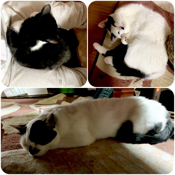 Ddd3dff4 4dfd 4f34 afee 55b095c53ccd 1590539655172