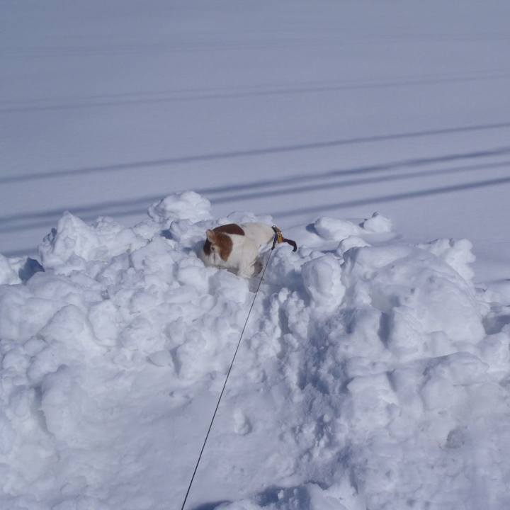 Ddd40439 c034 4104 8958 ac8377f0e06b 1518779889240