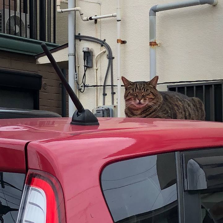 Ddd4114e 347c 4e1c 97a8 d56c2761c9ba 1538570502934