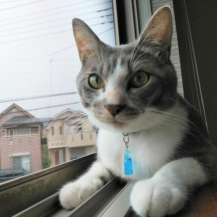 Ddd47d9d e3ab 42e6 88e1 4d7357a4f201 1592952646196