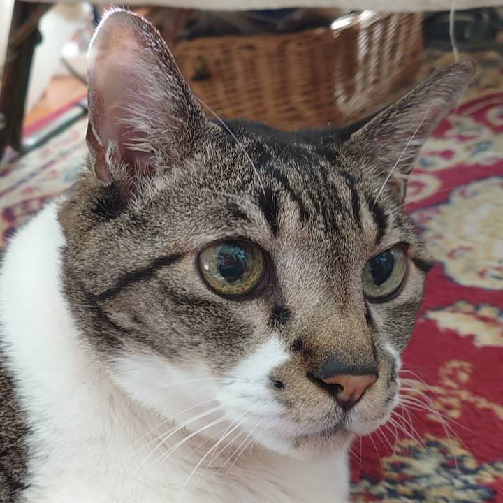 Ddd480f4 12b6 425f 9399 296883e268ce 1773477413294