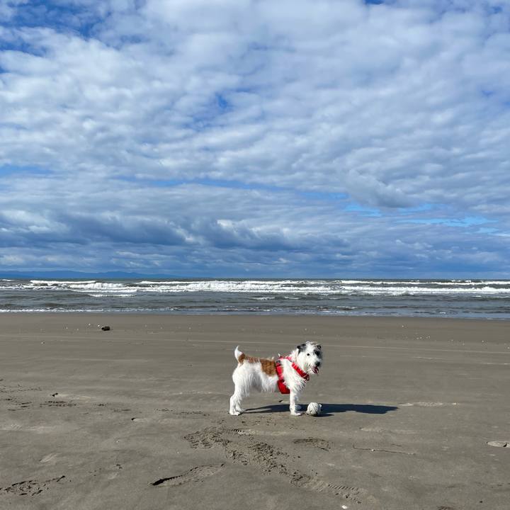 Ddd48e82 939a 4b6f a52e cee8d92912e4 1666253482593