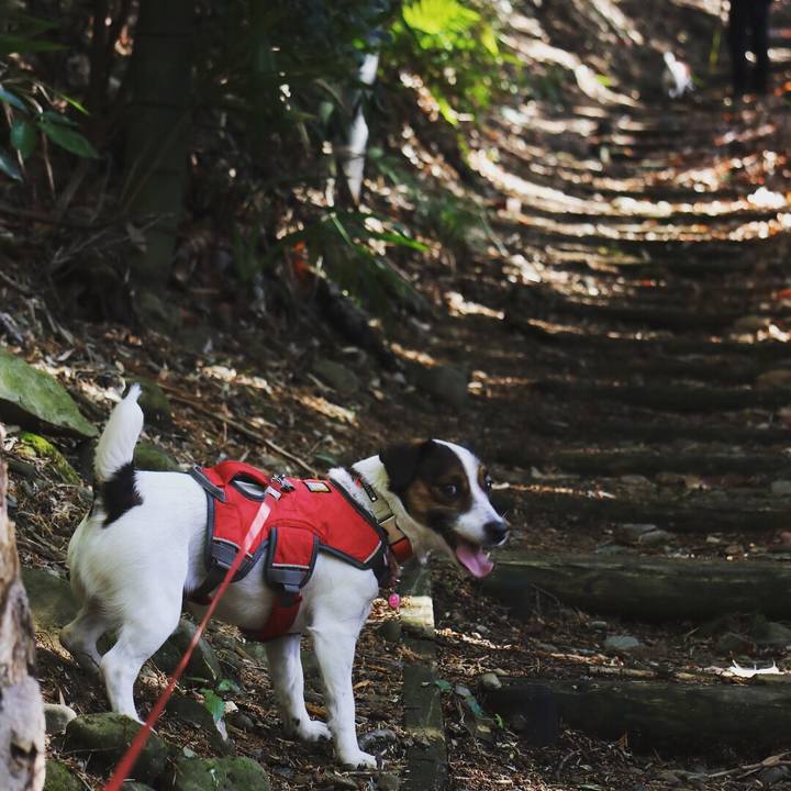 Ddd4c5d6 5d41 4359 ae78 d27d451bd7c2 1518325722241