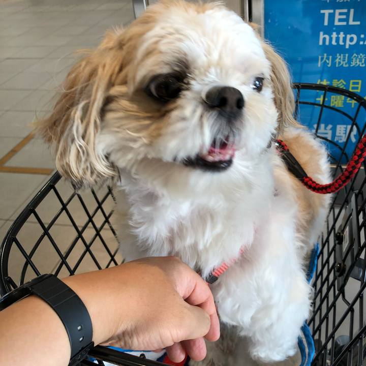 Ddd52840 a4e2 4149 8fc1 0802a9d3a947 1532987464867