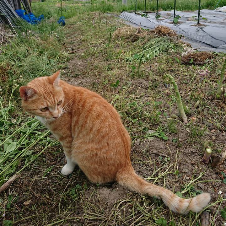 Ddd545aa 7e1d 4c6e a985 47b2aeb4d41a 1591002219471