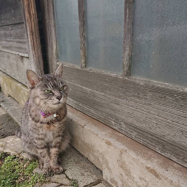 Ddd54b2c 8683 4ad7 9dc2 15dee3c38b86 1582332406998