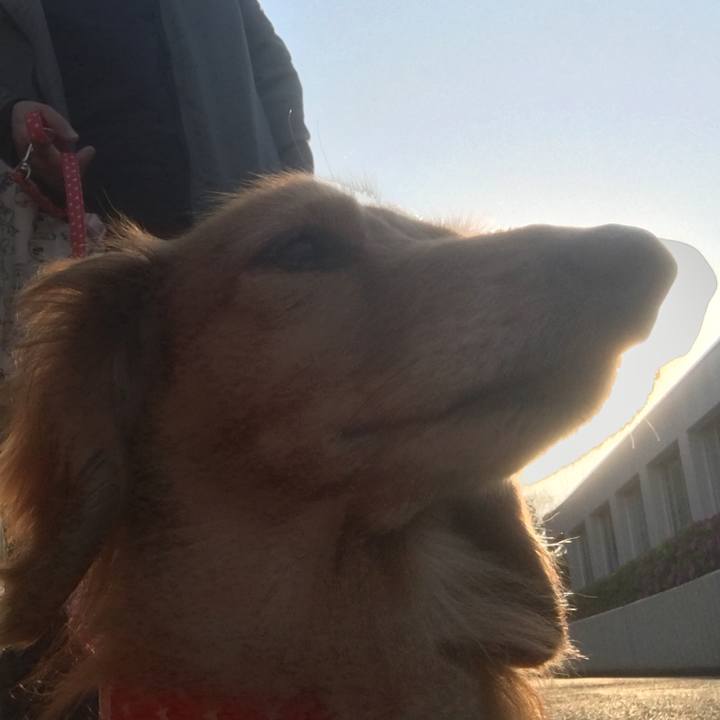 Ddd54ffc 27fb 4eb6 8bc4 033fe2e1fa20 1588416932719