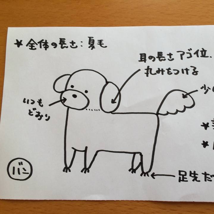 Ddd55a34 75a9 486c ba61 01ea59450439 1751849200226