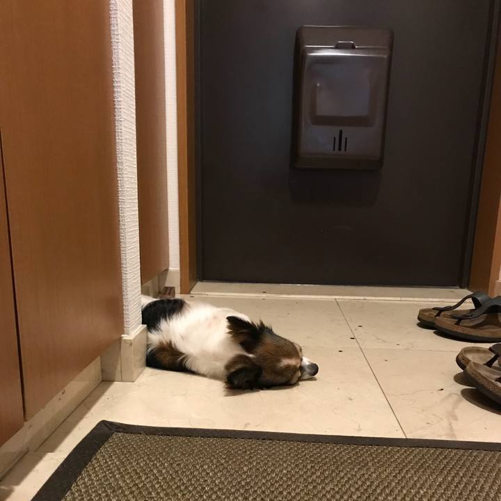 Ddd589d7 b0f5 457b aa46 27f6b86c4583 1534155337559