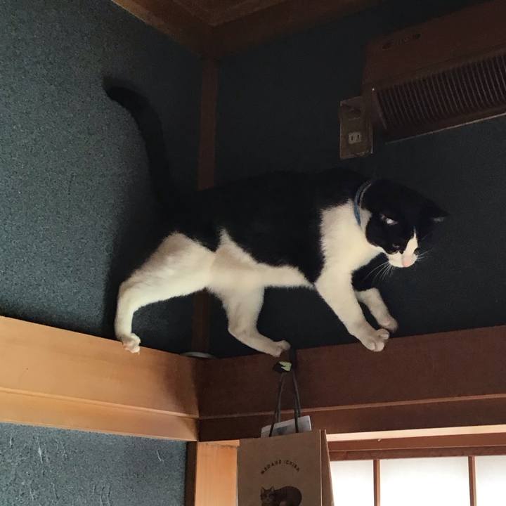 Ddd60182 958b 458e 948d 8adfeb95f441 1681345817022