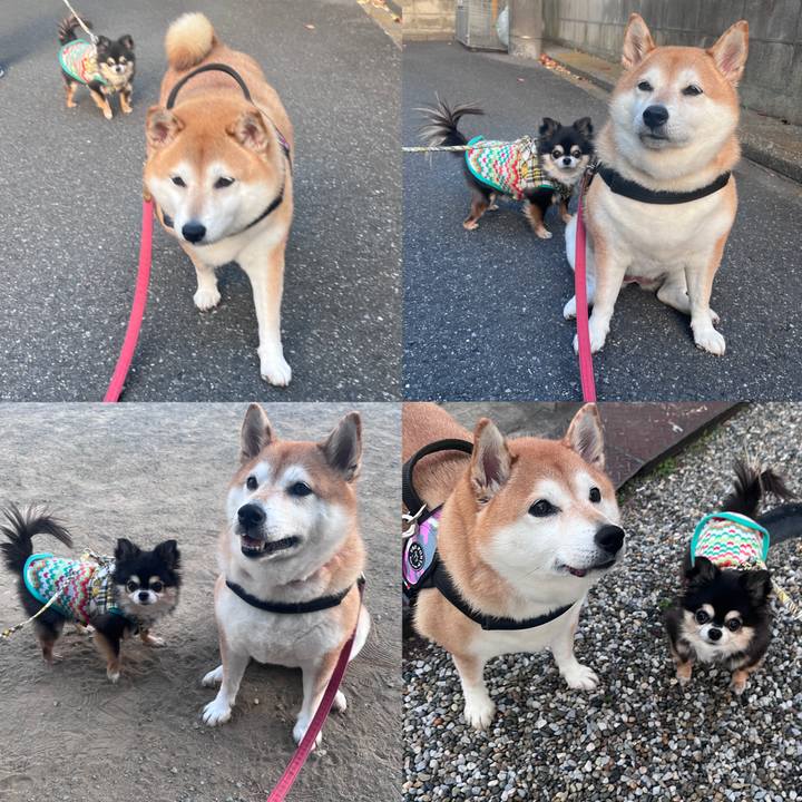 Ddd61ef4 4492 48fc b584 fc9bd979d1fb 1702020988452